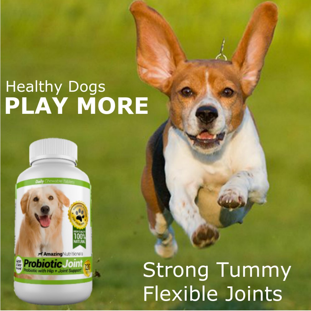 Probiotics for Dogs 120 Chews D7679