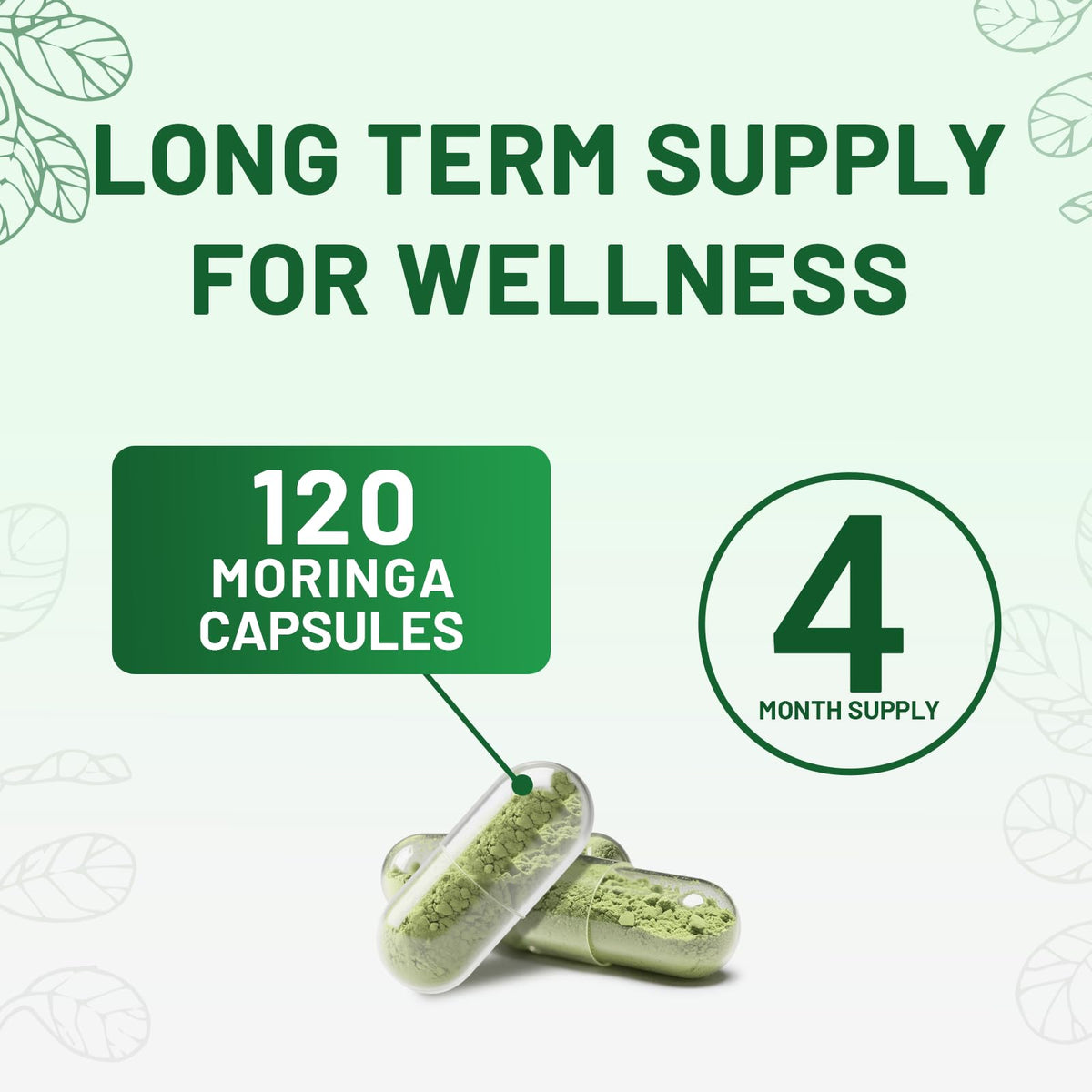 120 Moringa Capsules M3601