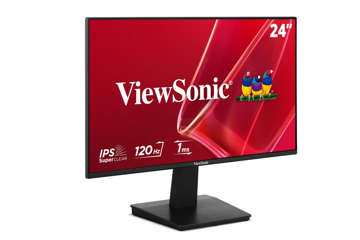 24 Inch 1080p IPS 120Hz Computer Monitor R24264