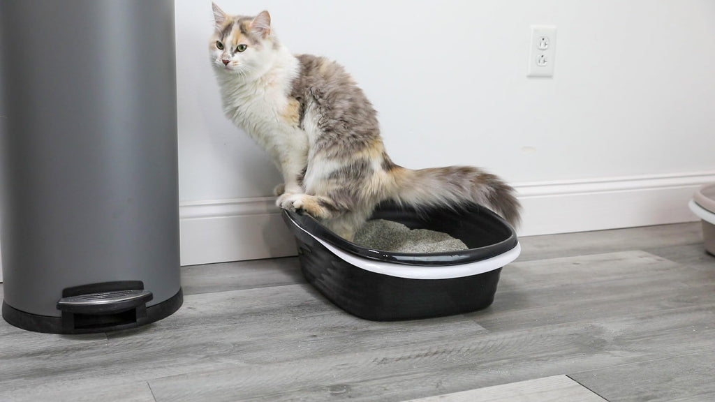 Large Sifting Cat Litter Box X503