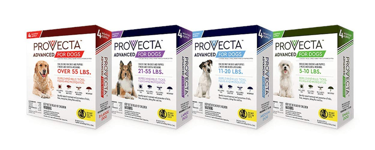 Small 5-10 lb Dog (Pack of 2) J5106