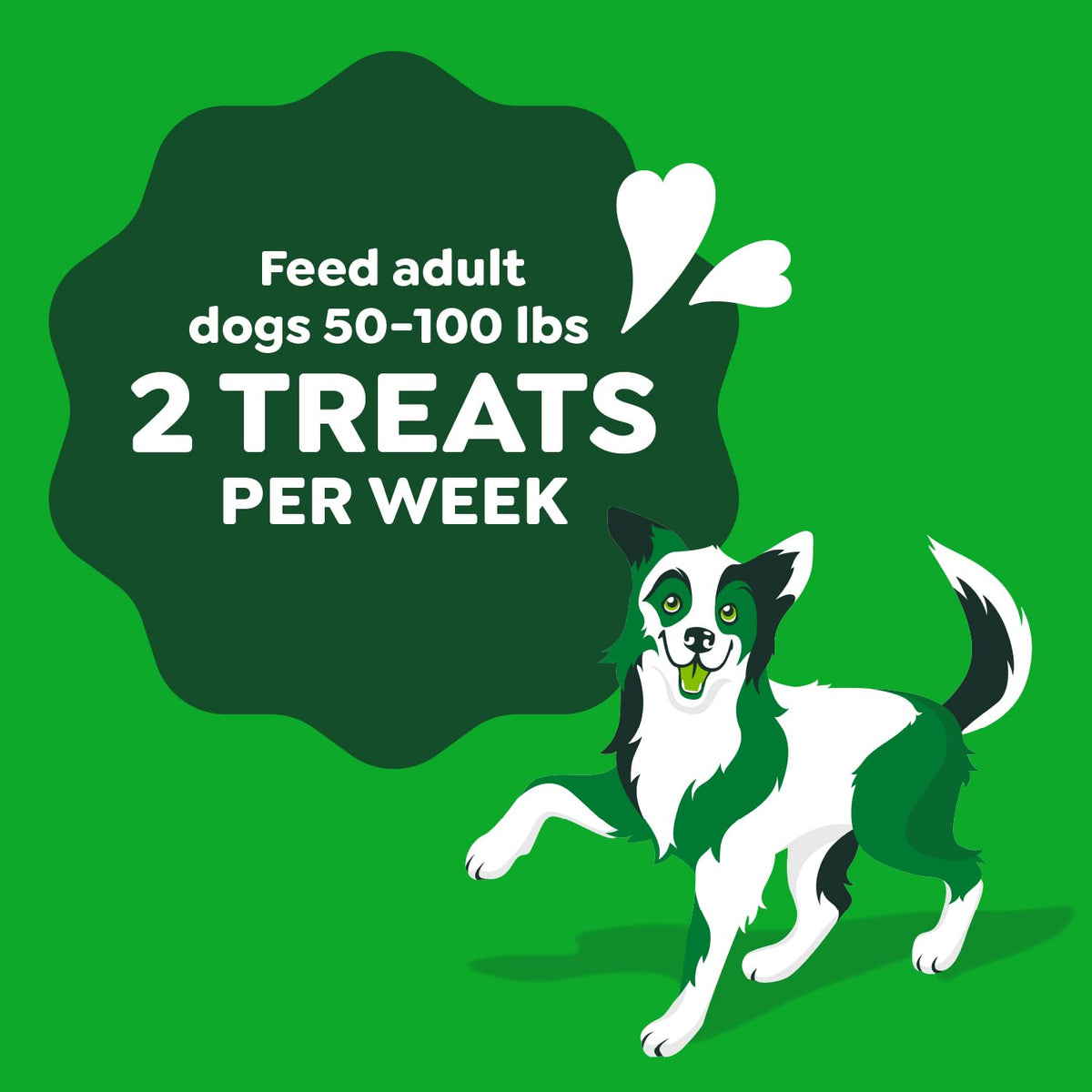 Chicken Flavor Dog Treats, 4 Count Z2754
