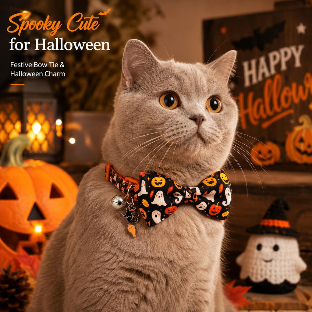 Halloween Cat Collar 2 Pack Adjustable Breakaway K62269