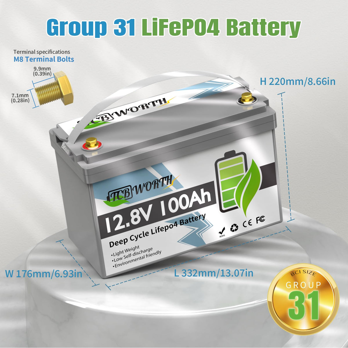 12V 100Ah LiFePO4 Deep Cycle Lithium Battery with 100A BMS R78444
