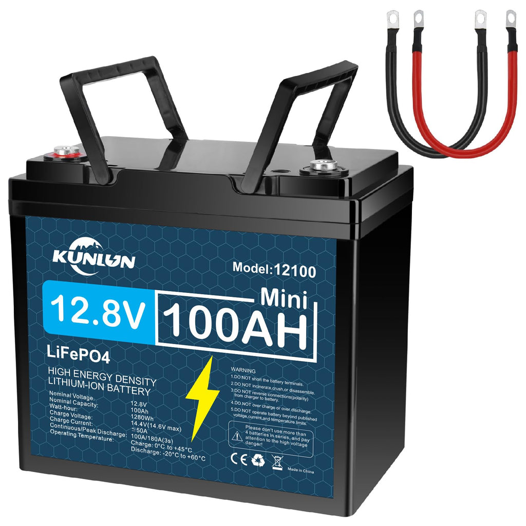 12V 100Ah LiFePO4 Battery V557