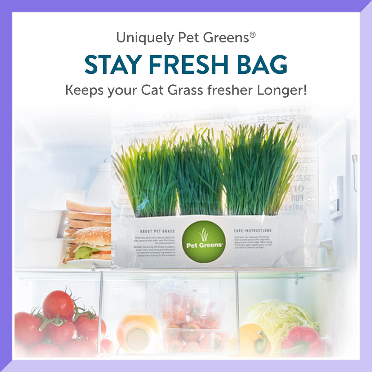 Organic Cat Grass Plant with Stand 3 Pack C780202