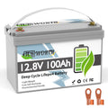 12V 100Ah LiFePO4 Deep Cycle Lithium Battery with 100A BMS R78444