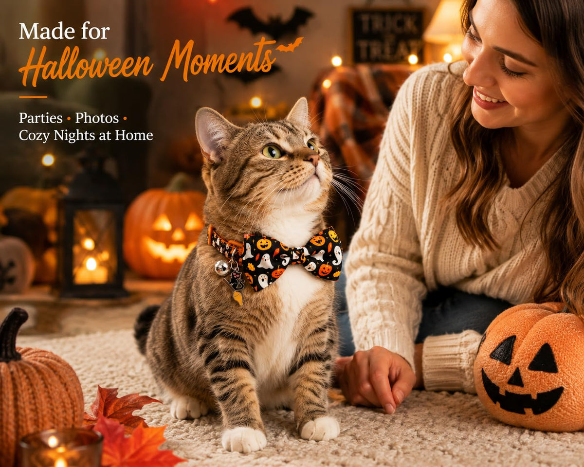 Halloween Cat Collar 2 Pack Adjustable Breakaway K62269