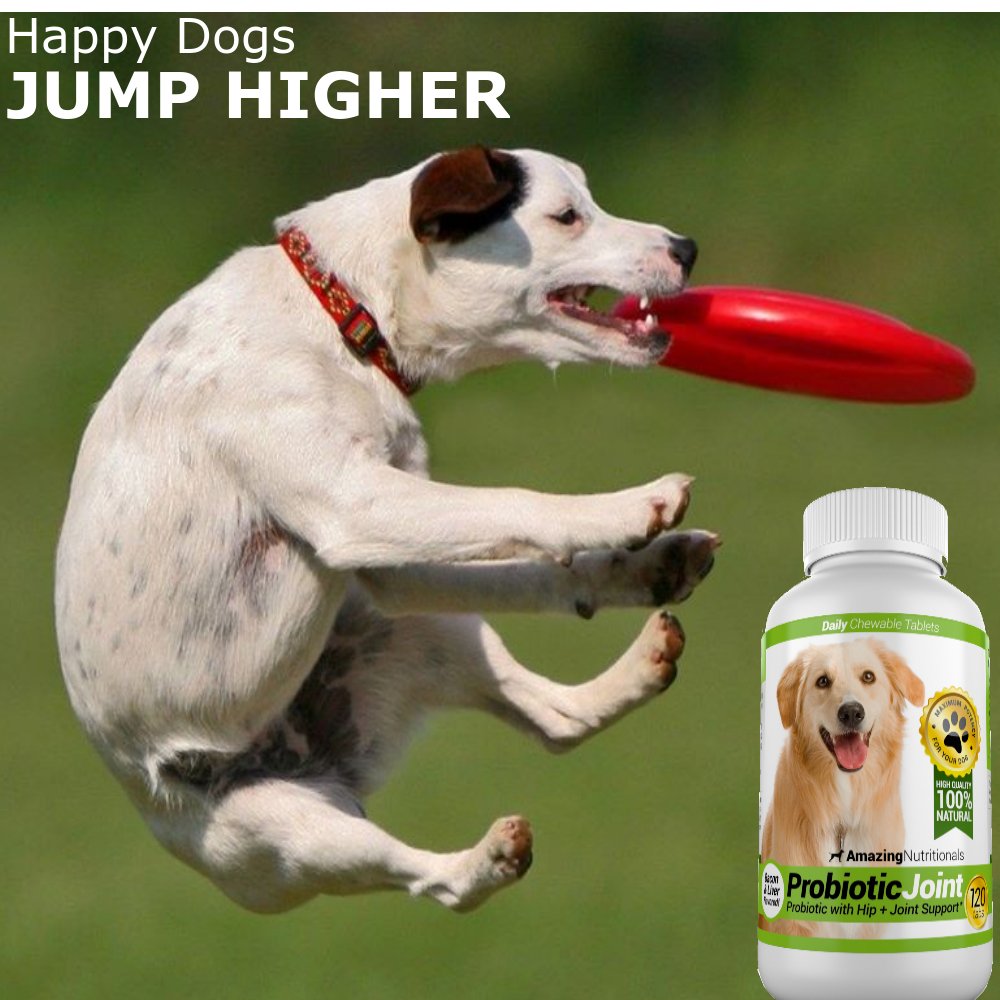 Probiotics for Dogs 120 Chews D7679