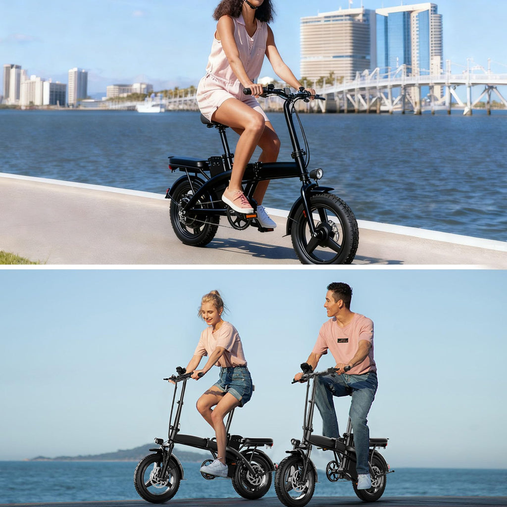 Foldable 500W Electric Bike S910