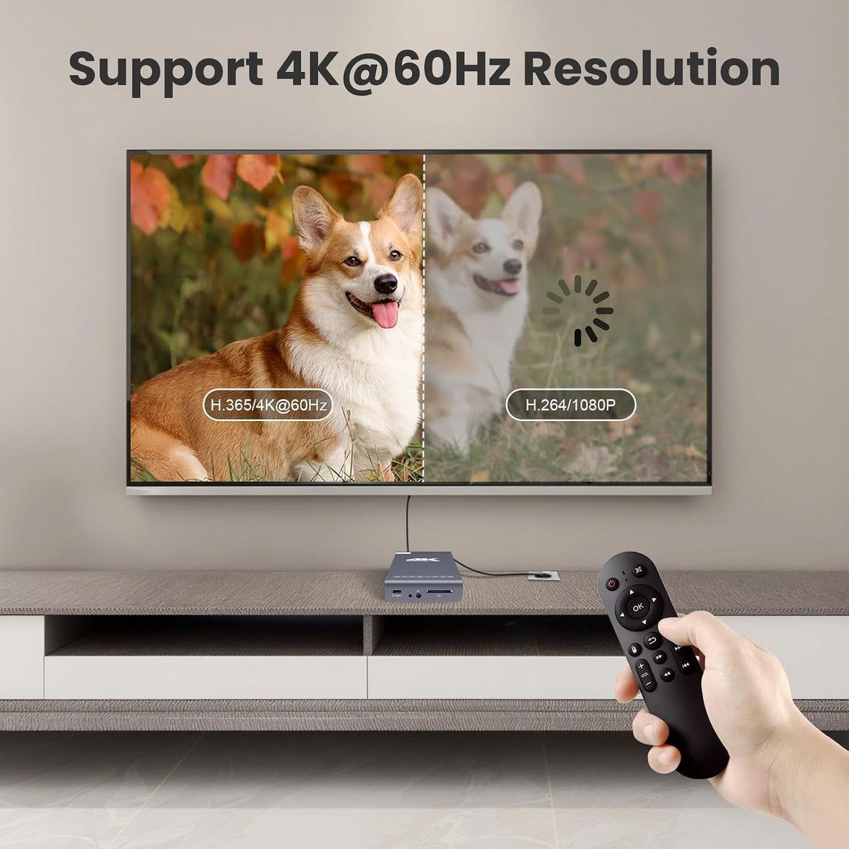 4K 60Hz H.265 Ultra HD Digital Media Player & HDD Enclosure 2 in 1 Y1382