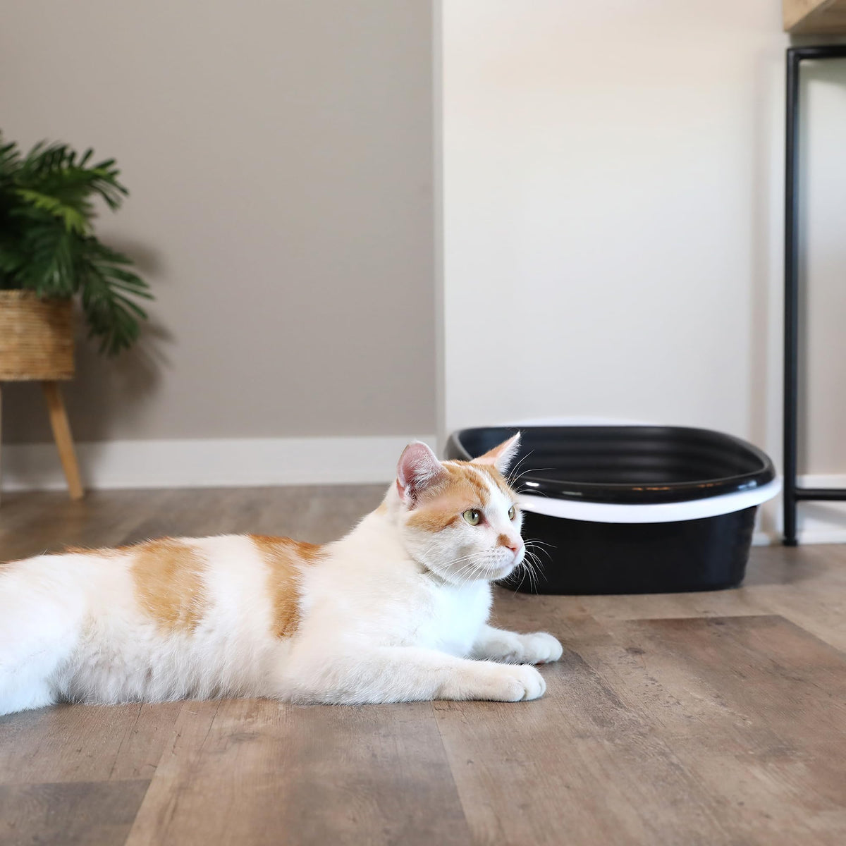 Large Sifting Cat Litter Box X503