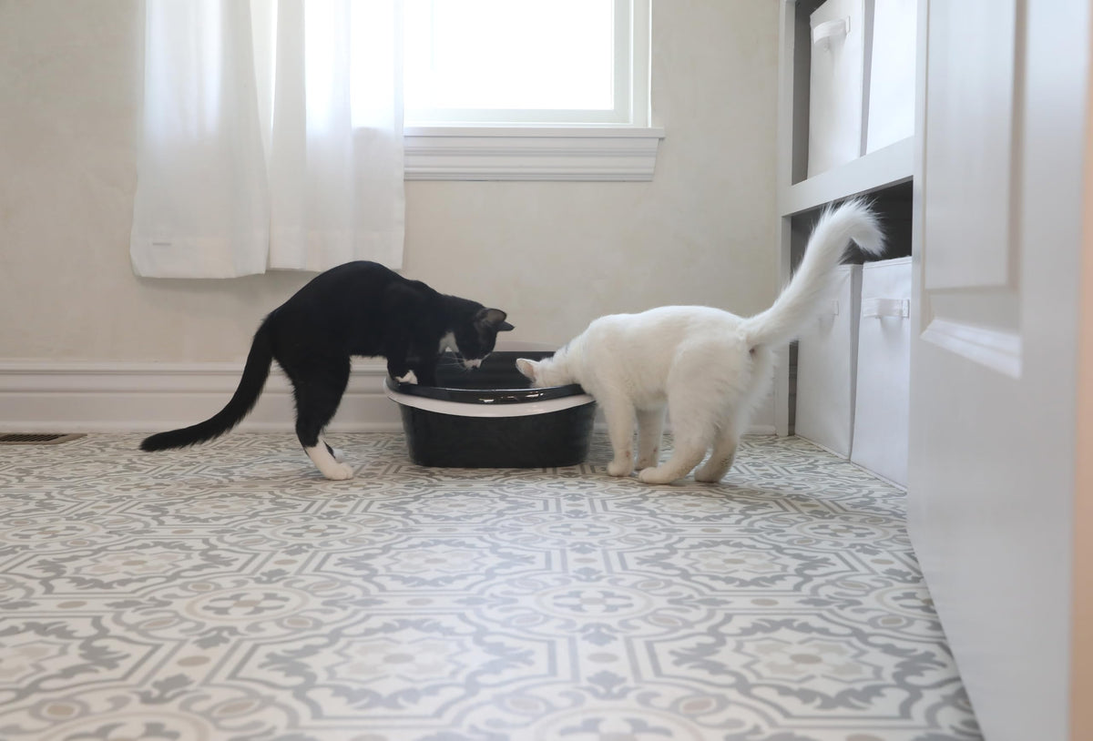 Large Sifting Cat Litter Box X503