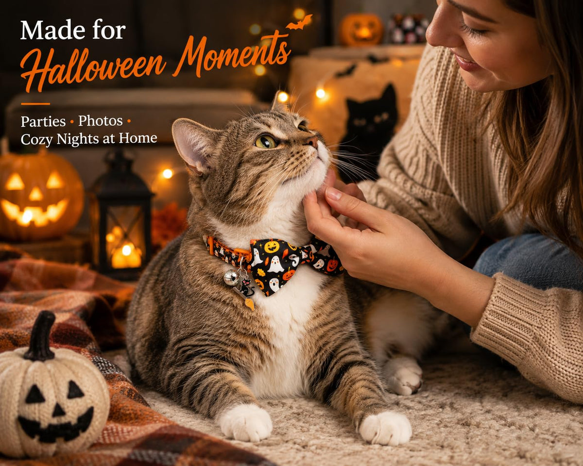 Halloween Cat Collar 2 Pack Adjustable Breakaway K62269