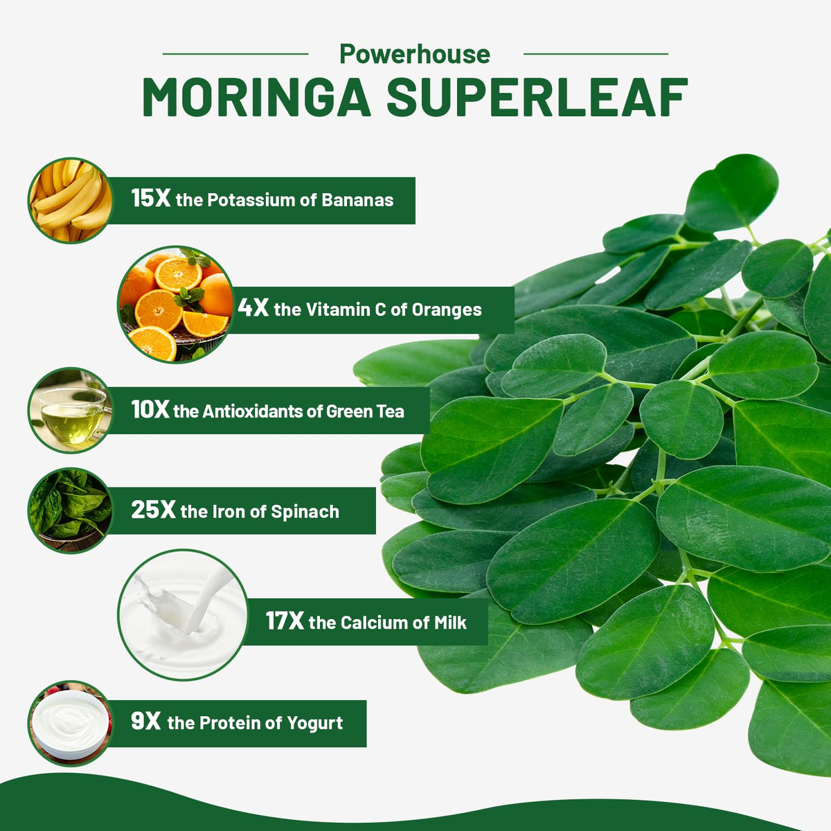 120 Moringa Capsules M3601