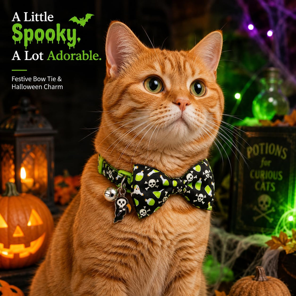 Halloween Cat Collar 2 Pack Adjustable Breakaway K62269