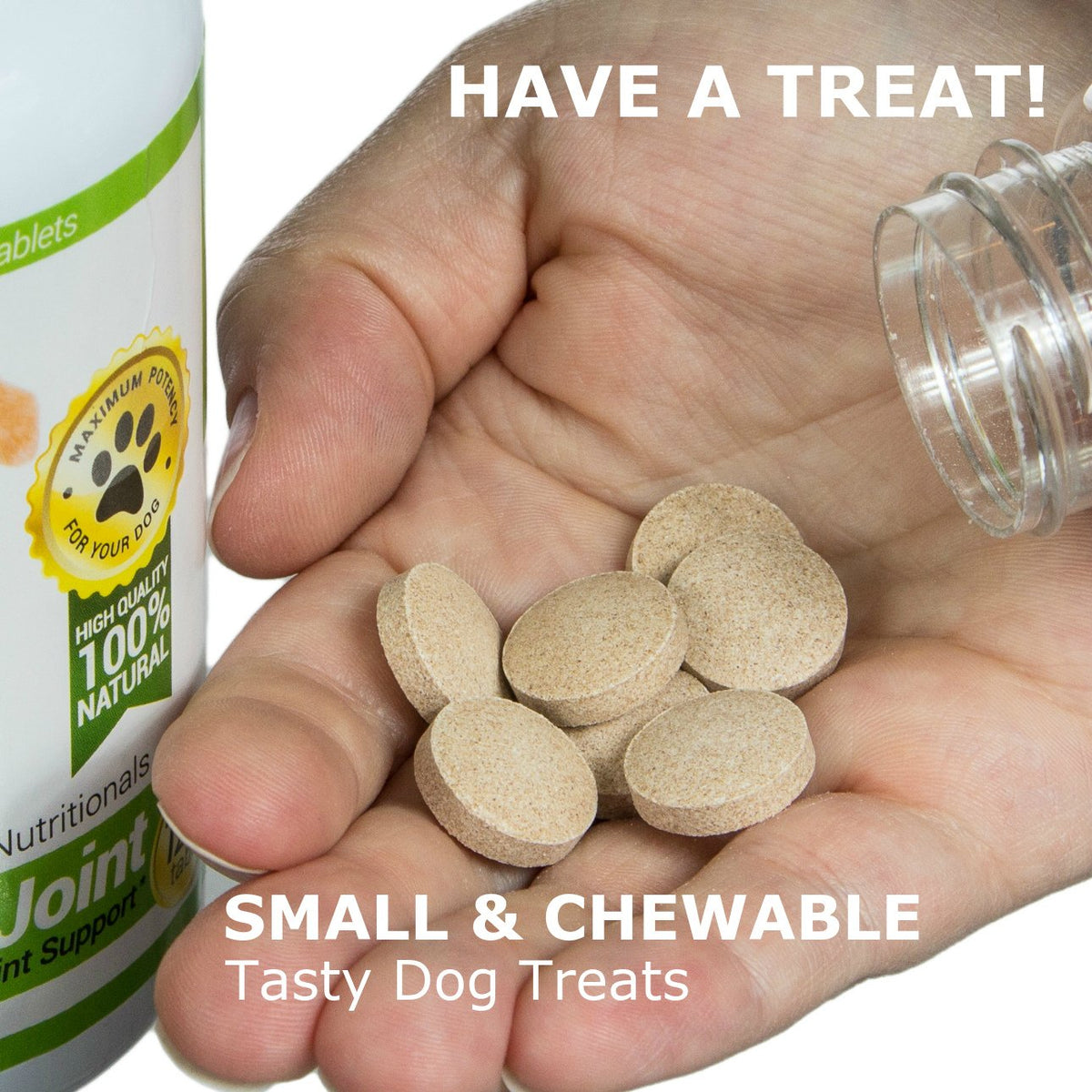 Probiotics for Dogs 120 Chews D7679