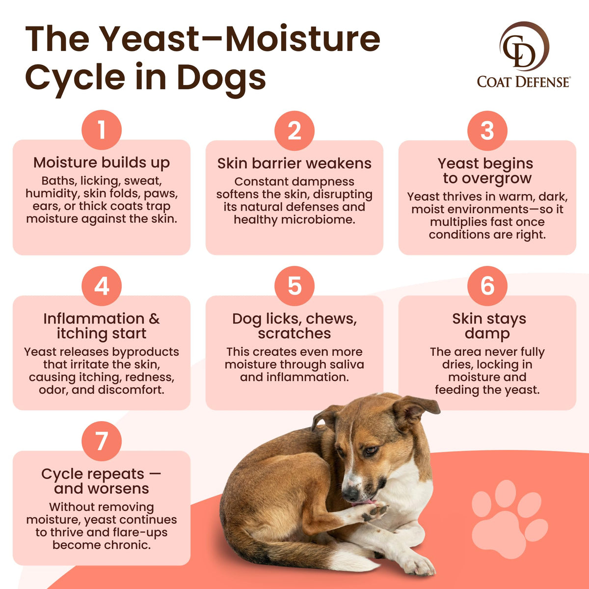 Daily Preventative Powder & Shampoo for Dogs M1228