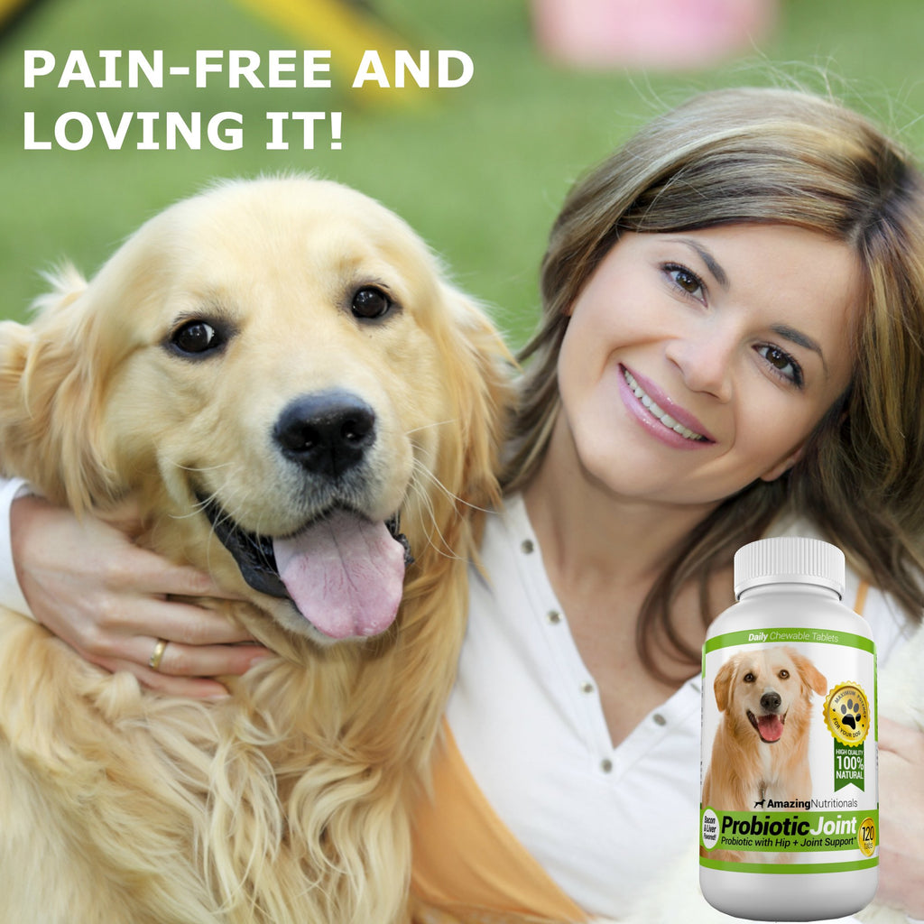 Probiotics for Dogs 120 Chews D7679