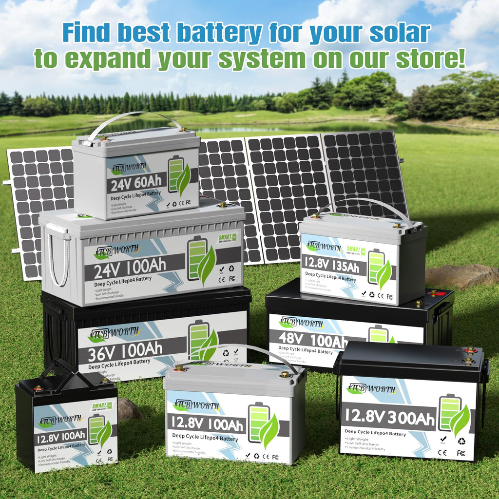 12V 100Ah LiFePO4 Deep Cycle Lithium Battery with 100A BMS R78444