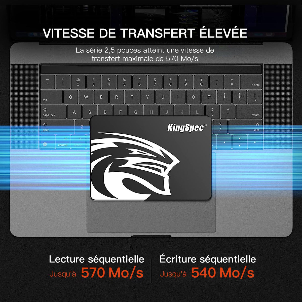 1TB 2.5" SATA III Internal Solid State Drive C59235